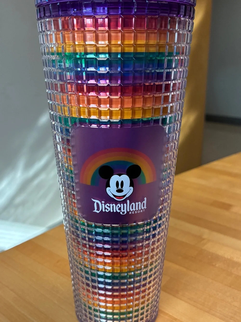 Disney Parks Starbucks Pride Tumbler Rainbow Studded Grid Venti 24oz
